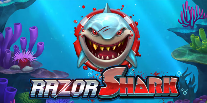 Pola Pembayaran Padat Memberi Tekanan Di Slot Razor Shark